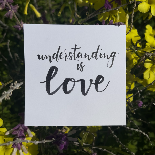 February 17 - Intro to Brush Lettering (Sliding Scale)