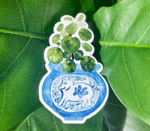 Year of the Pig + Pilea Plant Sticker