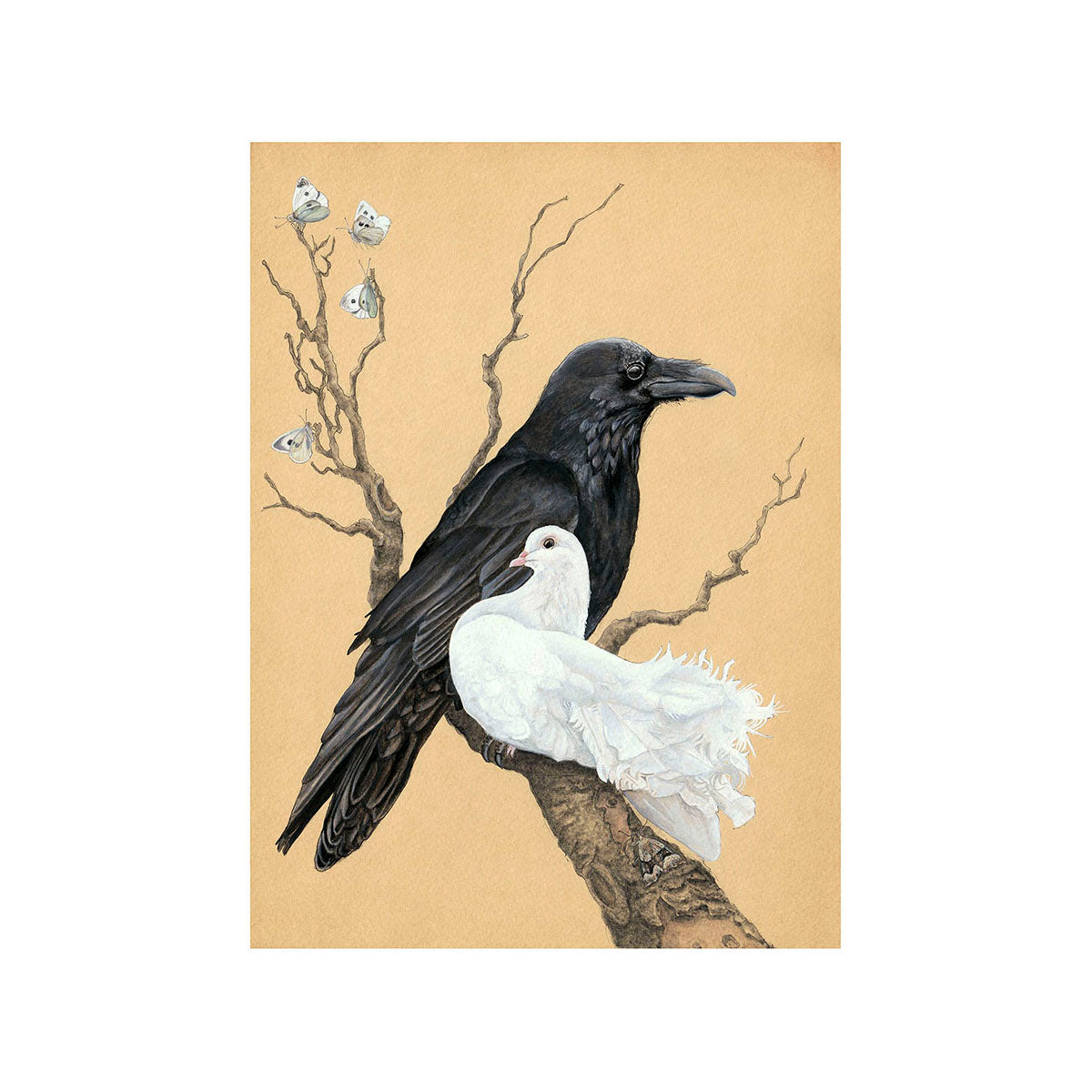 Raven and Dove Greeting Card