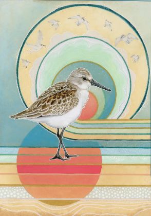 Wester Sandpiper #2 -"The Golden Place" Print